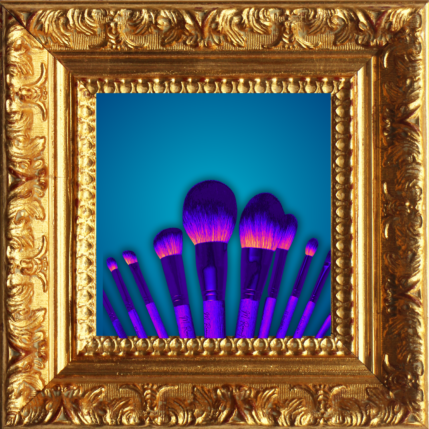 Brushes and Sponges